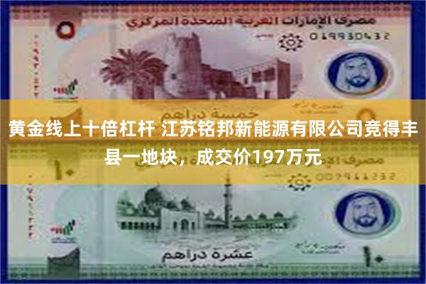 黄金线上十倍杠杆 江苏铭邦新能源有限公司竞得丰县一地块，成交价197万元