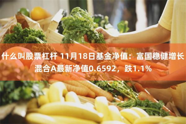 什么叫股票杠杆 11月18日基金净值：富国稳健增长混合A最新净值0.6592，跌1.1%
