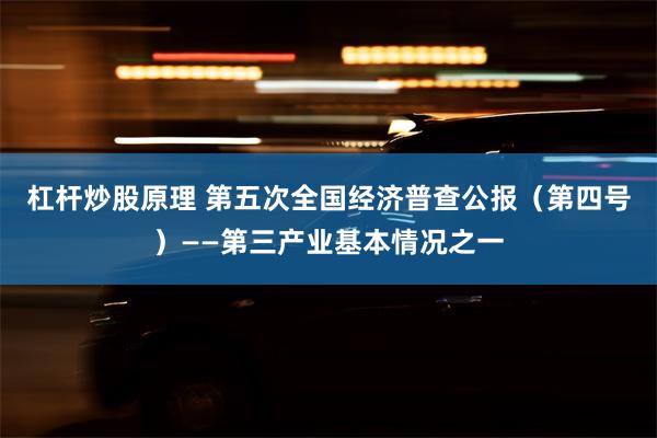 杠杆炒股原理 第五次全国经济普查公报（第四号）——第三产业基本情况之一