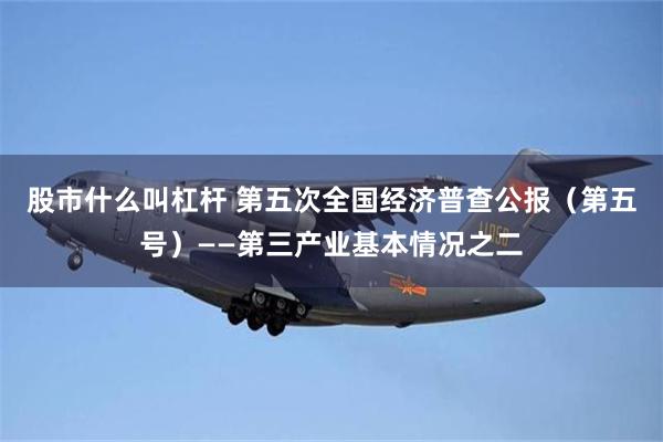 股市什么叫杠杆 第五次全国经济普查公报（第五号）——第三产业基本情况之二