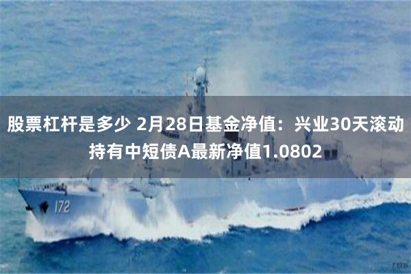 股票杠杆是多少 2月28日基金净值：兴业30天滚动持有中短债A最新净值1.0802