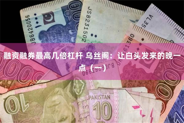融资融券最高几倍杠杆 乌丝阁：让白头发来的晚一点（一）