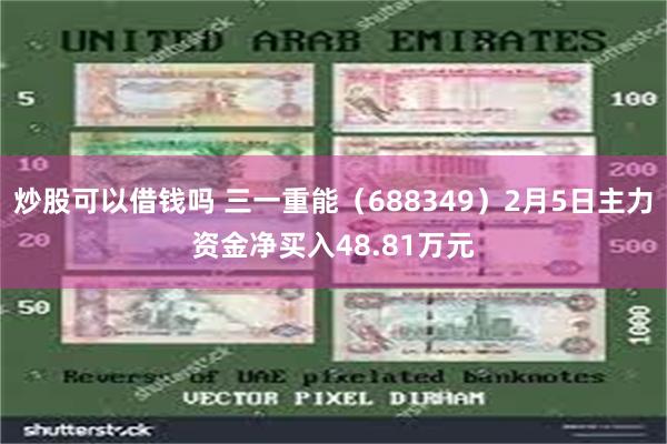 炒股可以借钱吗 三一重能（688349）2月5日主力资金净买入48.81万元