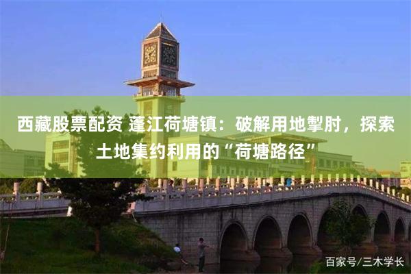 西藏股票配资 蓬江荷塘镇：破解用地掣肘，探索土地集约利用的“荷塘路径”