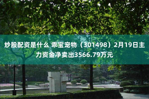 炒股配资是什么 乖宝宠物（301498）2月19日主力资金净卖出3566.79万元