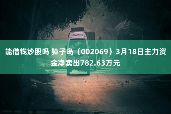 能借钱炒股吗 獐子岛（002069）3月18日主力资金净卖出782.63万元