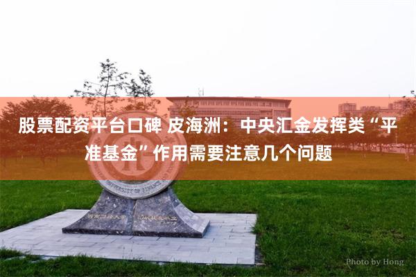 股票配资平台口碑 皮海洲：中央汇金发挥类“平准基金”作用需要注意几个问题