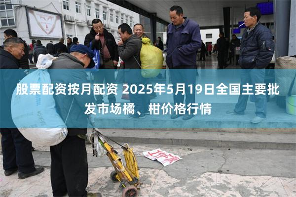 股票配资按月配资 2025年5月19日全国主要批发市场橘、柑价格行情