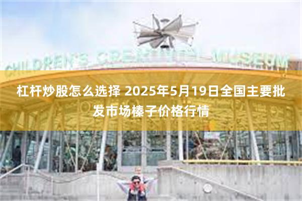 杠杆炒股怎么选择 2025年5月19日全国主要批发市场榛子价格行情
