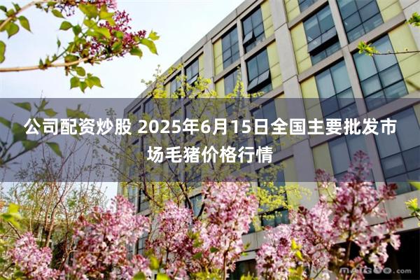 公司配资炒股 2025年6月15日全国主要批发市场毛猪价格行情