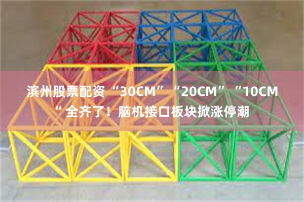 滨州股票配资 “30CM” “20CM” “10CM”全齐了！脑机接口板块掀涨停