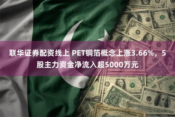 联华证券配资线上 PET铜箔概念上涨3.66%，5股主力资金净流入超5000万元
