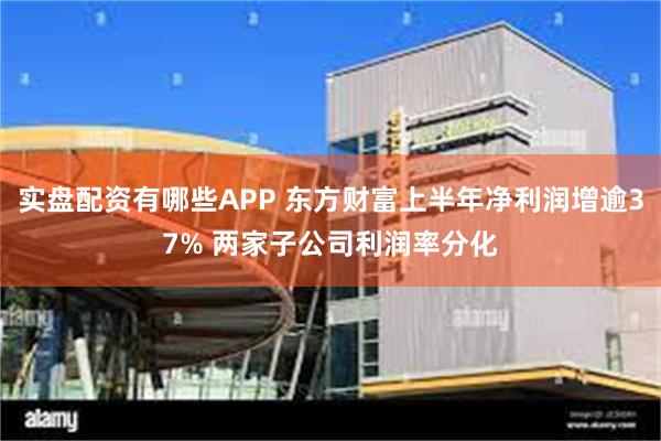 实盘配资有哪些APP 东方财富上半年净利润增逾37% 两家子公司利润率分化