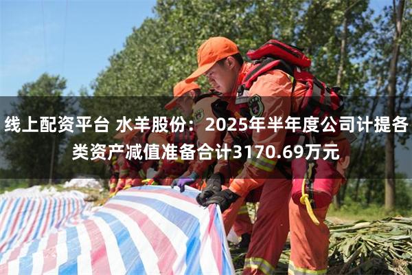 线上配资平台 水羊股份：2025年半年度公司计提各类资产减值准备合计3170.6