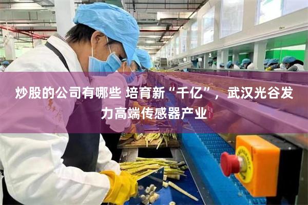 炒股的公司有哪些 培育新“千亿”，武汉光谷发力高端传感器产业
