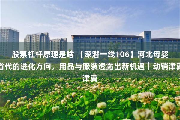 股票杠杆原理是啥 【深潜一线106】河北母婴省代的进化方向，用品与服装透露出新机